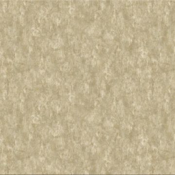 Обои бумажные Bruno Zoff Gold 10,05х1,06 м (60122-7)