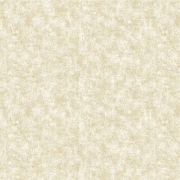 Обои бумажные Bruno Zoff Gold 10,05х1,06 м (60125-2)
