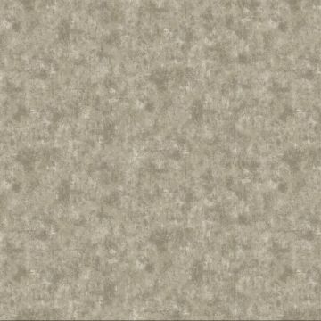 Обои бумажные Bruno Zoff Gold 10,05х1,06 м (60128-6)
