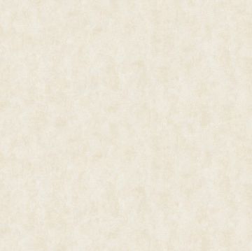 Обои бумажные Bruno Zoff Gold 10,05х1,06 м (60132-1)