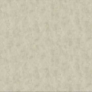 Обои бумажные Bruno Zoff Gold 10,05х1,06 м (60132-3)