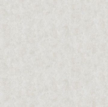 Обои бумажные Bruno Zoff Gold 10,05х1,06 м (60132-4)