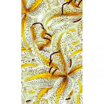 Панно Marburg Smart Art 2,7х1,59 м (46715)