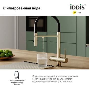 Смеситель Iddis для кухни с фильтром и гибким изливом матовое золото Ace ACEMGFFi05