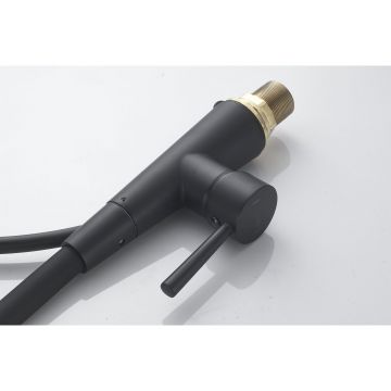 Смеситель для кухни с гибким изливом Shevanik (Шеваник) S743H-3, черный