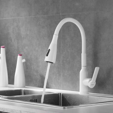 Смеситель для кухни с гибким изливом Shevanik (Шеваник) S843C-1, белый