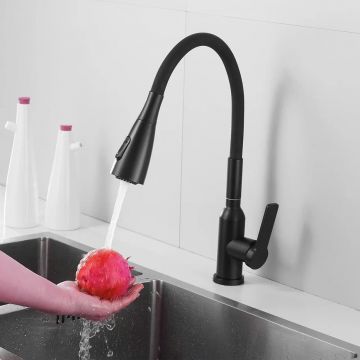 Смеситель для кухни с гибким изливом Shevanik (Шеваник) S843H-3, черный