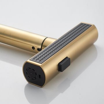 Смеситель для кухни с мультифункциональным изливом Shevanik (Шеваник) S263G, золотой сатин