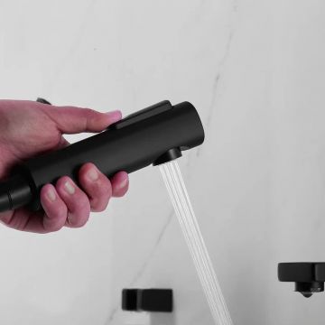 Смеситель для раковины с гигиеническим душем Shevanik (Шеваник) S8271H, черный