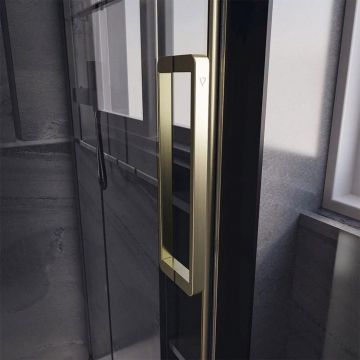 Душевая дверь Veconi Premium Trento PTD-40G PTD40-G-120-01-C4 Стекло прозрачное 1200х2000х8 мм золото