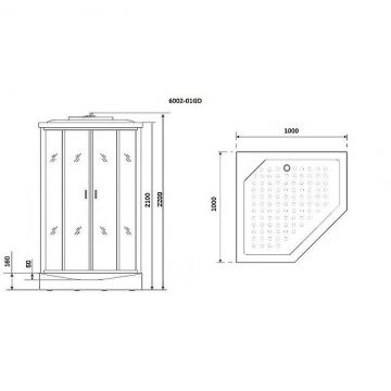 Душевая кабина Niagara (Ниагара) Premium 1000х1000х2200 мм, низкий поддон, с гидромассажем NG-6002-01GD