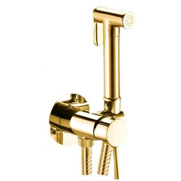 Гигиенический душ со смесителем Webert Sax Evolution SE870303010, золото