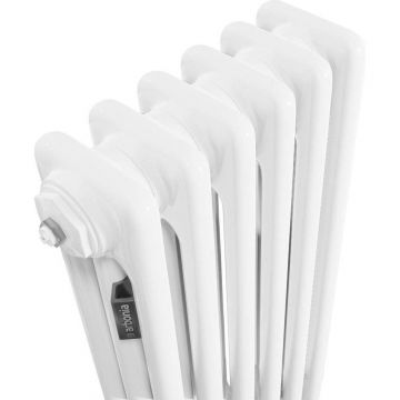 Радиатор секционный Arbonia (Арбония) 3057/16 боковое подключение RAL 9016 Белый