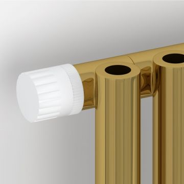 Радиатор однорядный коаксиальный Сунержа (Sunerga) Эстет-0 EU50 левый 500х225 мм 5 секций 03-0320-5005