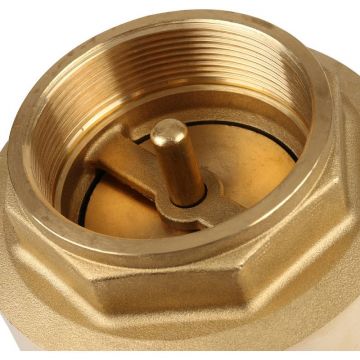 Клапан обратный Itap (Итап) EUROPA пружинный муфтовый с металлическим седлом 2 1/2 дюйма 100