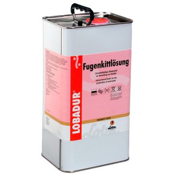 Шпатлевка на водной основе Loba (Лоба) Lobadur WS EasyFillPro 5 л