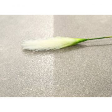 Керамогранит Realistik (Реалистик) Fiji Sand Matt 60x60 см