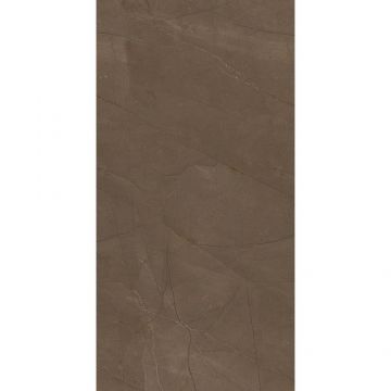 Плитка Creto (Крето) Pulpis Brown W M 31x61 см, глянцевая NR Glossy 1 MBV12W13100C