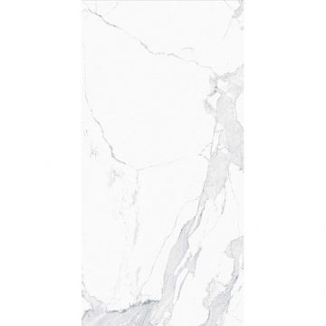 Керамогранит Creto (Крето) Avenzo Silver F P 59,5х119 см, лаппатированный R Full Lappato 1 MDT25F35110G