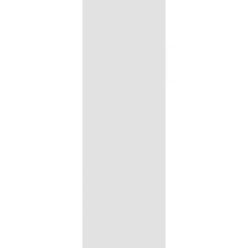 Керамическая плитка Creto (Крето) Flora Gray 20х60 см 00-00-5-17-00-06-2830