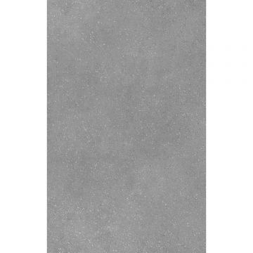 Керамическая плитка Creto Misty Grey 25х40 см 00-00-5-09-01-06-2840