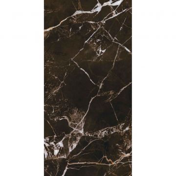 Керамогранит Creto (Крето) Ashford Brown F P R Full Lappato 1 59,5х119 см, лаппатированный MPL-004830