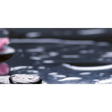 Декор Нефрит-Керамика (Nefrit) Орхидея черный 25х50 см (04-01-1-10-04-04-162-2)