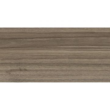 Настенная плитка New Trend (Нью Тренд) Retro Essense Brown 24,9х50х0,85 см WT9ESS08