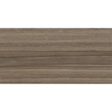 Настенная плитка New Trend (Нью Тренд) Retro Essense Brown 24,9х50х0,85 см WT9ESS08