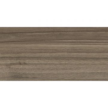 Настенная плитка New Trend (Нью Тренд) Retro Essense Brown 24,9х50х0,85 см WT9ESS08