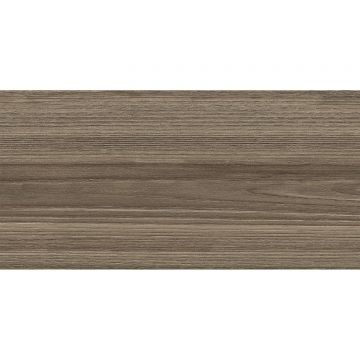 Настенная плитка New Trend (Нью Тренд) Retro Essense Brown 24,9х50х0,85 см WT9ESS08