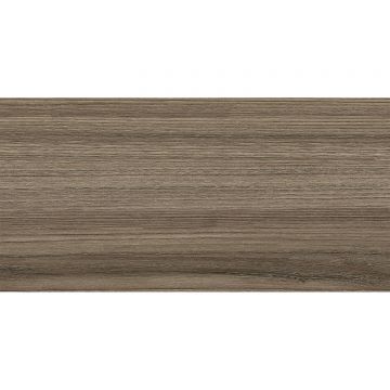 Настенная плитка New Trend (Нью Тренд) Retro Essense Brown 24,9х50х0,85 см WT9ESS08