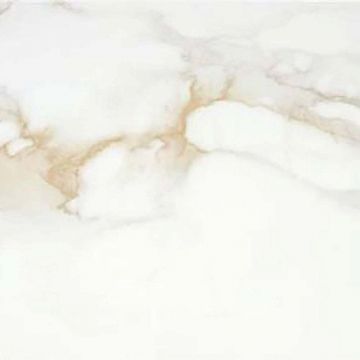 Керамогранит Stn Ceramica (Стн Керамика) P.E. Pul. Camile Gold Rect. 120x120 см, ректификат (920406)