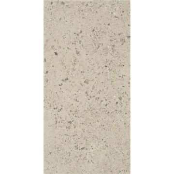 Керамогранит Stn Ceramica (Стн Керамика) P.E. Boltonstone Warm Mt 60x120 см, ректификат Rect. (922795)