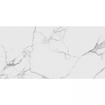 Керамогранит Infinity Ceramica Belmondo Bianco Polished 60x120 см