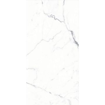 Керамогранит Maimoon Ceramica (Маймун Керамика) Satin Base 1011 120x60 см