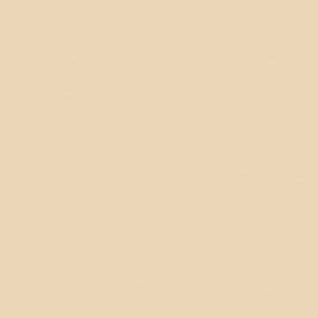 Керамогранит Unitile (Унитайл) Моноколор бежевый КГ 01 v2 40х40 см 10404002083