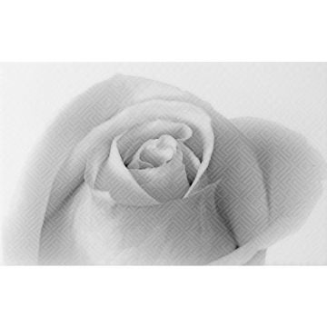 Декор Unitile (Унитайл) плитка Камелия черный 01 25х40 см 10301001884