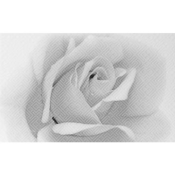 Декор Unitile (Унитайл) плитка Камелия черный 02 25х40 см 10301001885