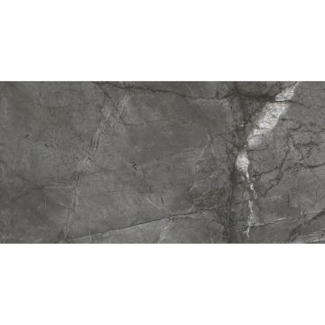 Керамогранит Bien Ceramic (Биен Керамик) Root Silver Rec Full Lap 60х120 см, лаппатированный, ректификат Bien Ceramic0022
