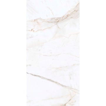 Керамогранит Primavera PR203 Regal Carara 60х120 см AK25670