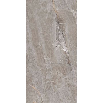 Керамогранит Primavera PR209 Essence Grey 60х120 см AK25670