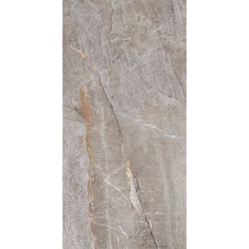 Керамогранит Primavera PR209 Essence Grey 60х120 см AK25670