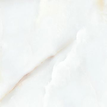 Керамогранит Dogma (Догма) Elegante Onyx Silver Levigato Rettificato 60x60 см (NEO93101F)