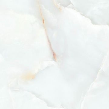 Керамогранит Dogma (Догма) Elegante Onyx Silver Levigato Rettificato 60x60 см (NEO93101F)