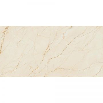 Керамогранит Dogma (Догма) Project Crema Marfil Levigato Rettificato 60x120 см (NEO126022)