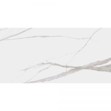 Керамогранит Dogma (Догма) Project Calacatta Levigato Rettificato 60x120 см (NEO126001)