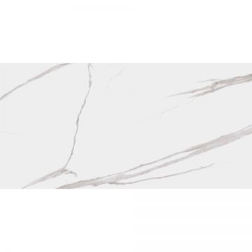 Керамогранит Dogma (Догма) Project Calacatta Levigato Rettificato 60x120 см (NEO126001)