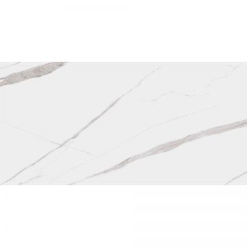 Керамогранит Dogma (Догма) Project Calacatta Levigato Rettificato 60x120 см (NEO126001)