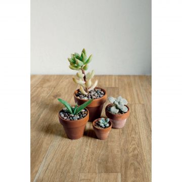 Керамогранит Ragno Marazzi Woodglam Pav. Grigio 100x700 мм
